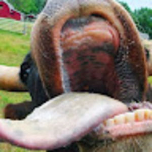 Meet your Posher, Kimberly